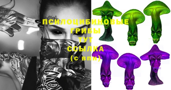 таблы Покачи