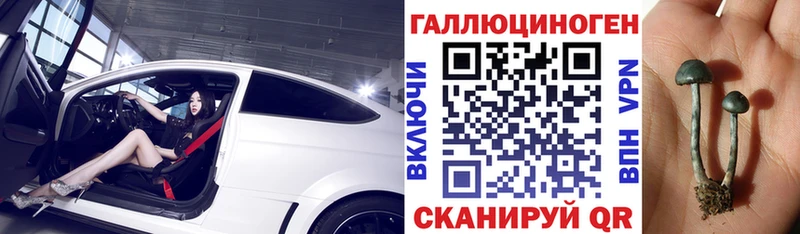 Псилоцибиновые грибы GOLDEN TEACHER  Лыткарино 