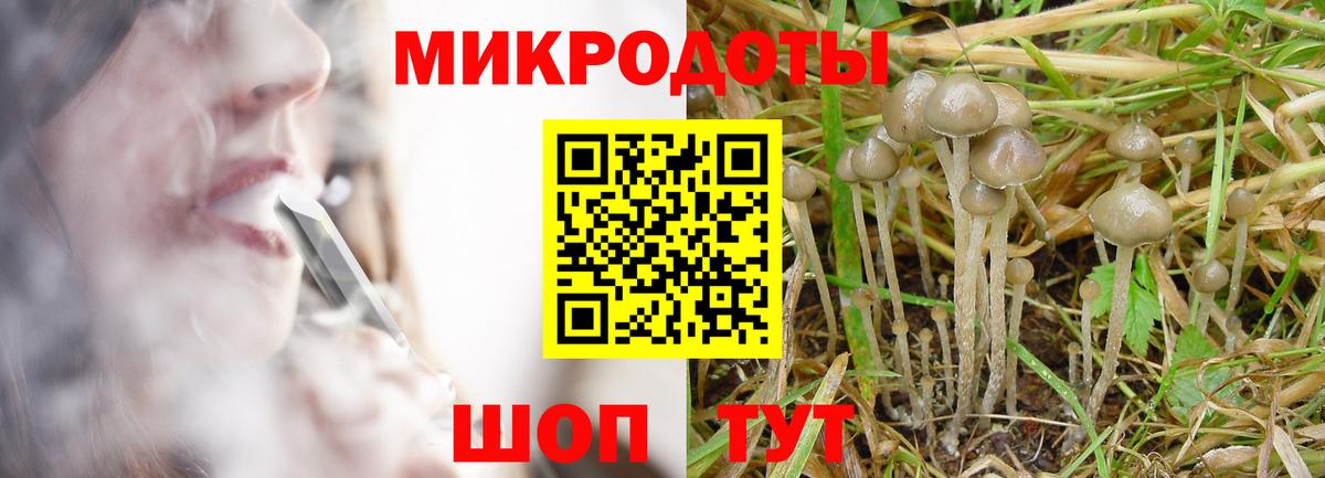 Лыткарино  Псилоцибиновые грибы Psilocybine cubensis  Вход с VPN  Псилоцибиновые грибы ЛСД 